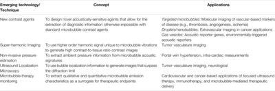Ultrasound Contrast Imaging: Fundamentals and Emerging Technology